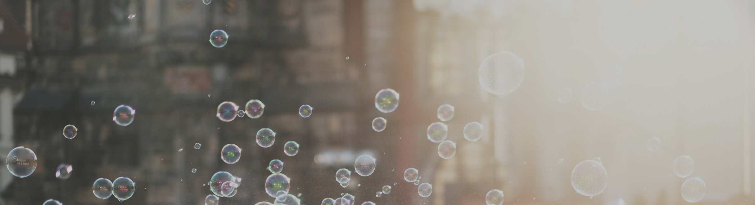 Member Voice & Guide