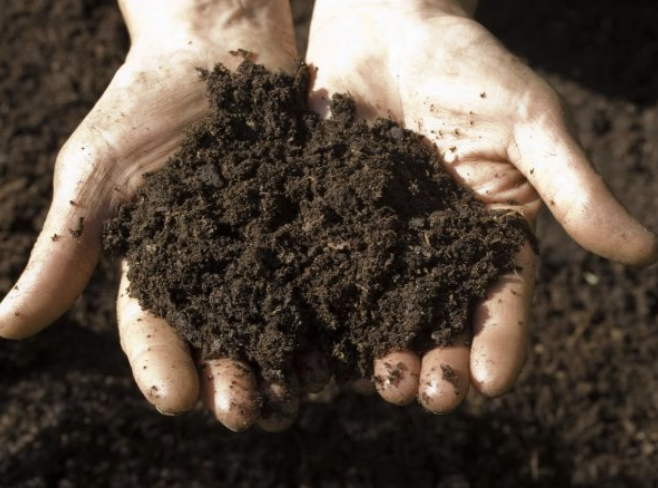 Soils & Fertilizers