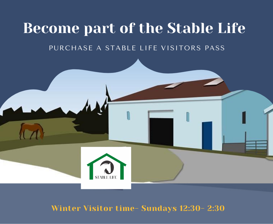 Stable Life Visitor Pass